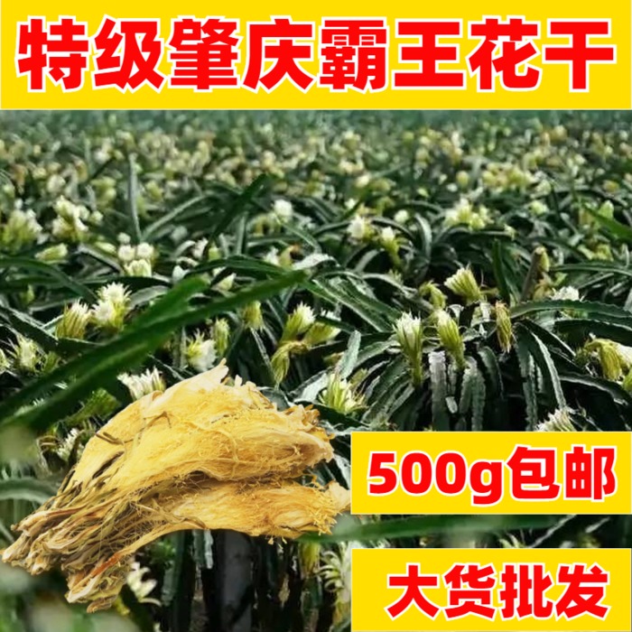 霸王花广东煲汤料剑花500g包邮