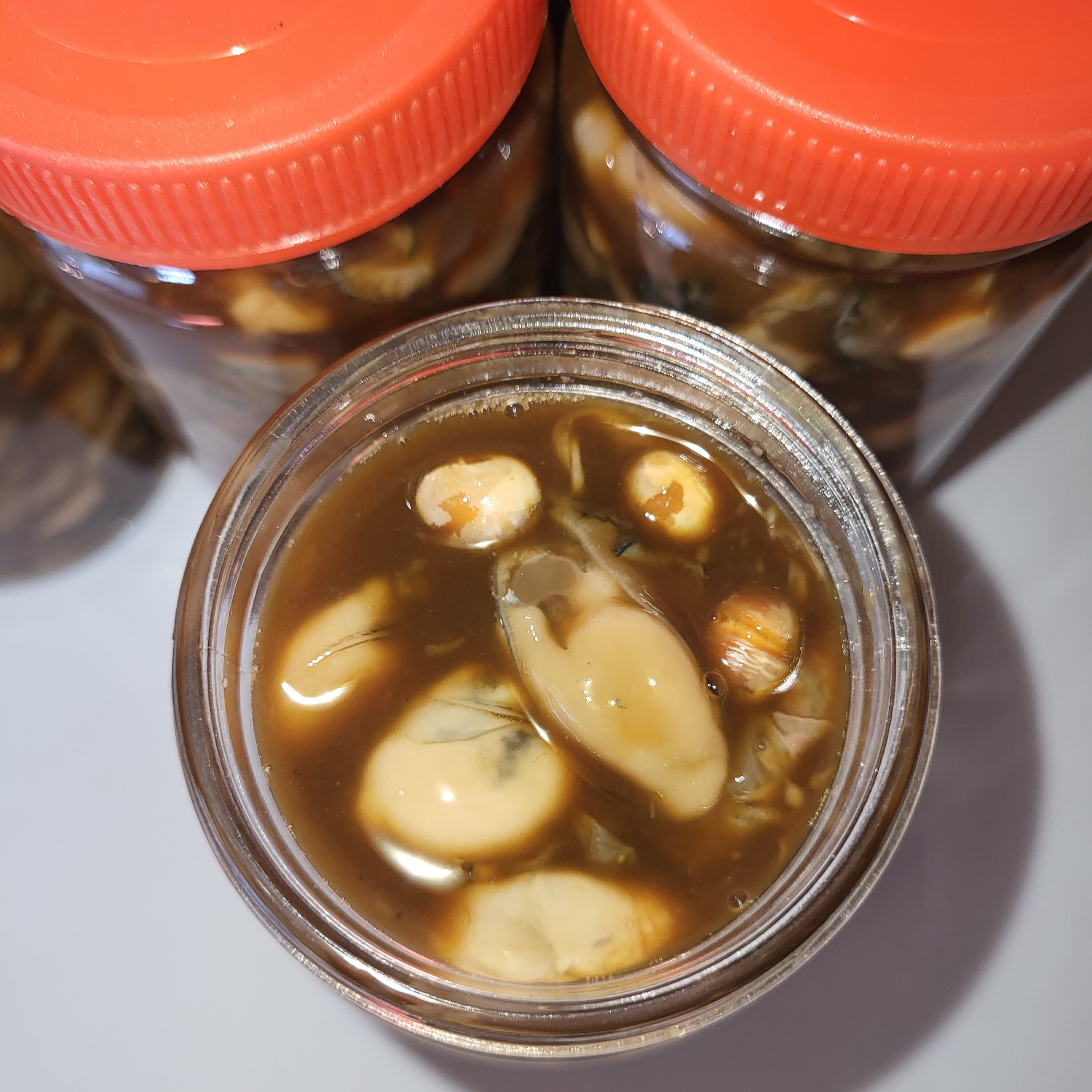 汕尾本港咸蚝仔酱油蚝仔豆汁蚝仔解 新鲜腌制 500克/瓶