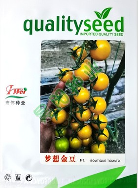 明黄色口感甜樱桃小西红柿种子特色小番茄籽梦想金豆抗TY种孑基地