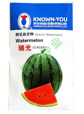 瑞光西瓜种籽早熟高球超甜