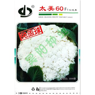 太美60天松花菜种子免盖球小米粒青梗花椰菜种籽大田基地高产种孑