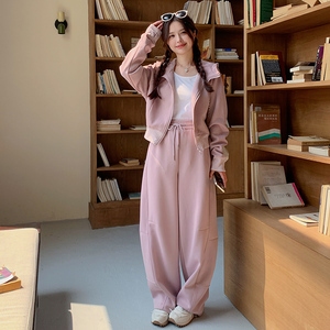 现货 2025春季新款休闲连帽卫衣套装浙宝300/2521/P165控238图片