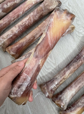 精品文玩骆驼骨腿骨 整腿骨玉化血料摆件手把件泡酒入药强身健体