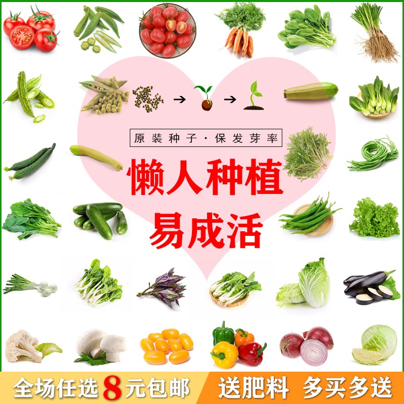 蔬菜种子阳台庭院水果种孑包邮食用香菜油菜韭菜白菜秋冬四季种籽 节庆用品/礼品 节庆布艺用品 原图主图