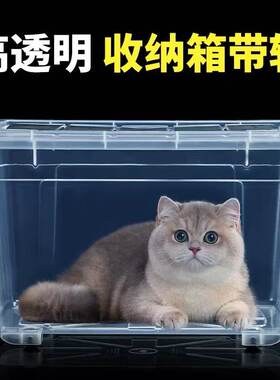 加厚透明特大号收纳箱塑料被子衣服整理箱玩具储物箱塑料箱储物盒