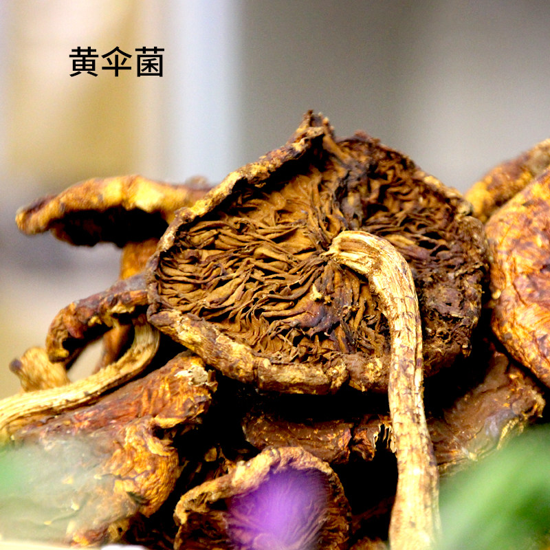 武当山珍干货黄伞菌多脂磷伞柳蘑柳树蘑柳香蘑黄蘑黄丝菌500克