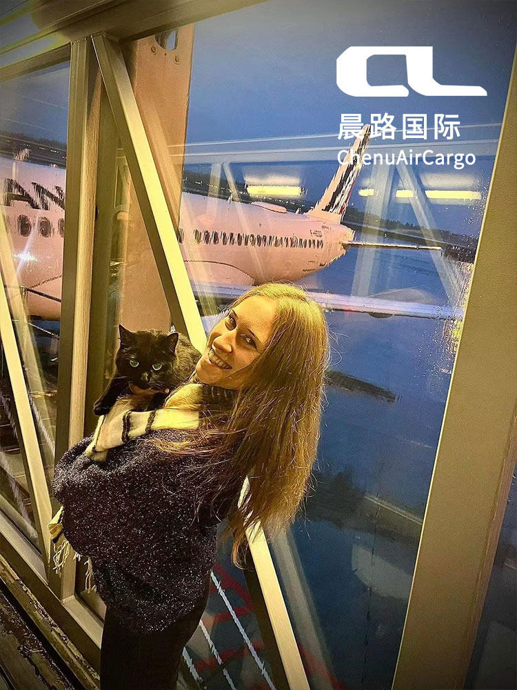 国际宠物托运出国手续猫狗回国清关出境去美国加拿大欧洲日本香港