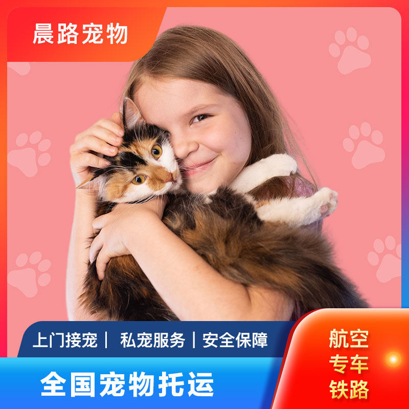 宠物托运服务全国猫咪狗狗空运北京上海广州深圳专车运输国际邮寄