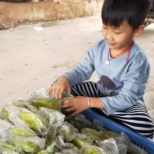 福建漳州甜洋桃新鲜整箱包邮2斤4斤孕妇正当季下河杨桃五角星现摘