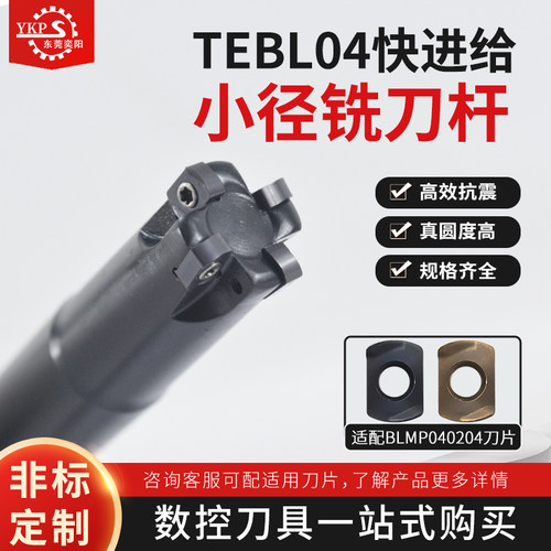 TEBL04快进给小径铣刀杆