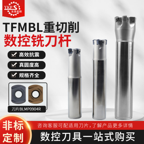 TFMBL09快进给双面铣刀杆
