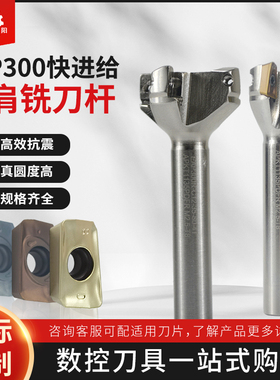 一体式BAP300R铣刀杆炮塔式直角刀盘CNC加工中心抗震APMT1135刀片