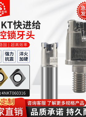 奕阳双面快进给数控方肩抗震锁牙刀头装4NKT060308刀片替代APMT11