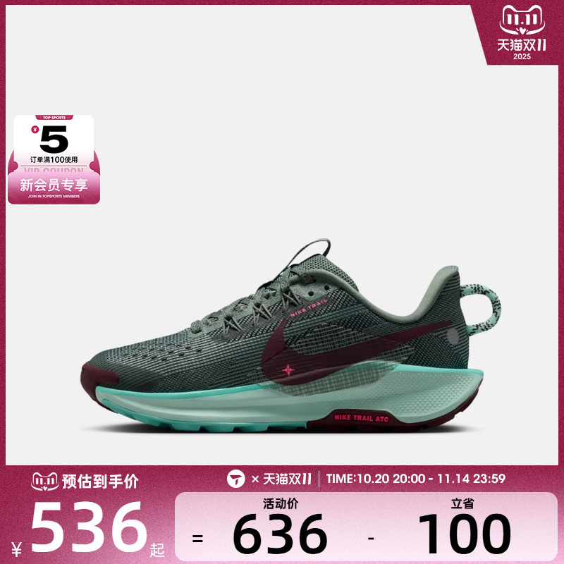 NIKE耐克大童PEGASUS TRAIL 5 (GS)运动休闲鞋FV5638-301