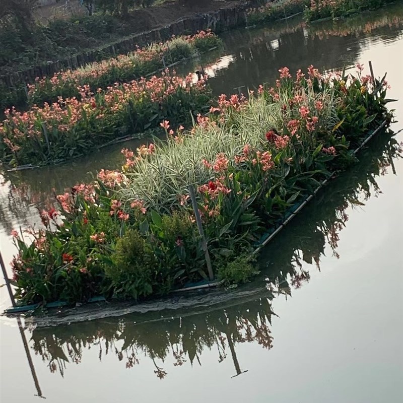 生态浮岛八孔花盆绿化景观种菜生态浮床水上种植河道造景浮板 运动/瑜伽/健身/球迷用品 冲浪板 原图主图