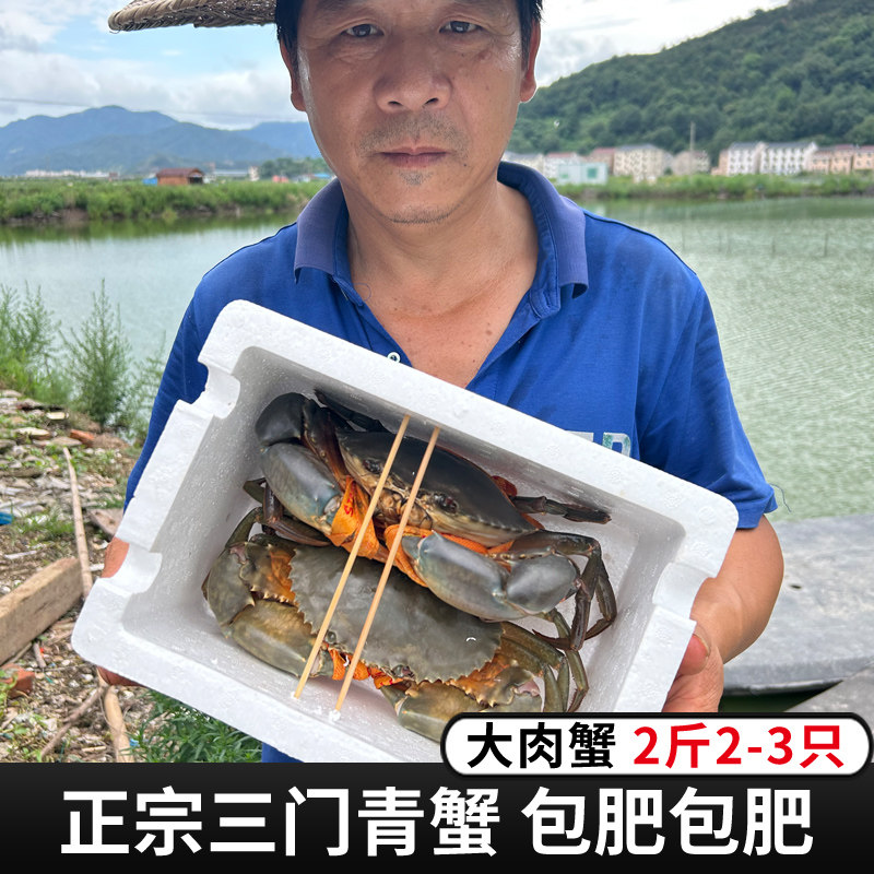 三门青蟹鲜活特大公蟹超大肉蟹海青蟹