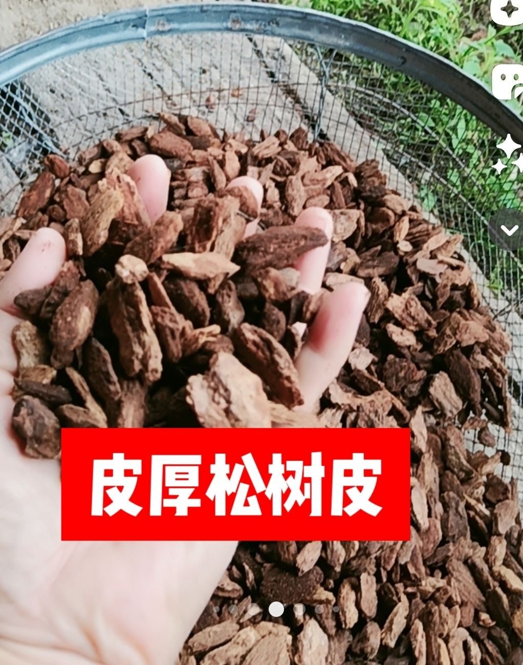 包邮腐熟颗粒松树皮邮种多肉君子兰蕙兰栽枫斗墨兰花土腐熟松麟