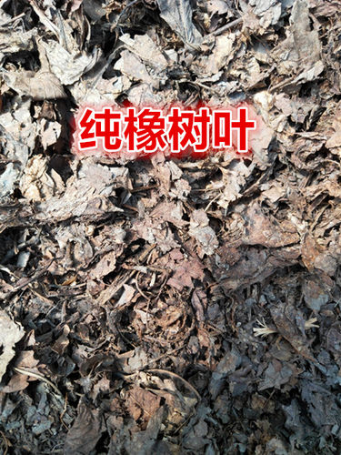 包邮吉林腐熟橡像柞树叶不含土已发酵充分君子兰 - 封面