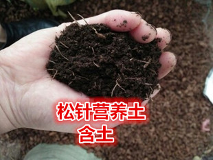 包邮多肉君子兰盆栽蓝莓土茶花杜鹃微酸性营养土