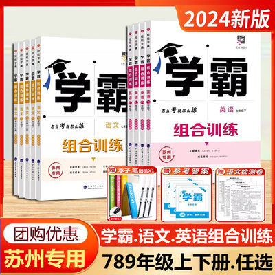 初中新版学霸组合训练语文