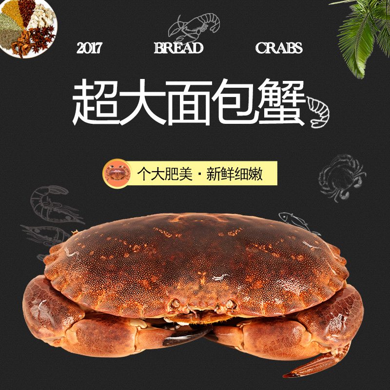 成山头海产 英国进口鲜活面包蟹黄金蟹超大螃蟹元宝蟹海鲜水产