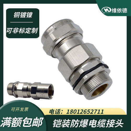 双密封铠装填料函接管式格兰