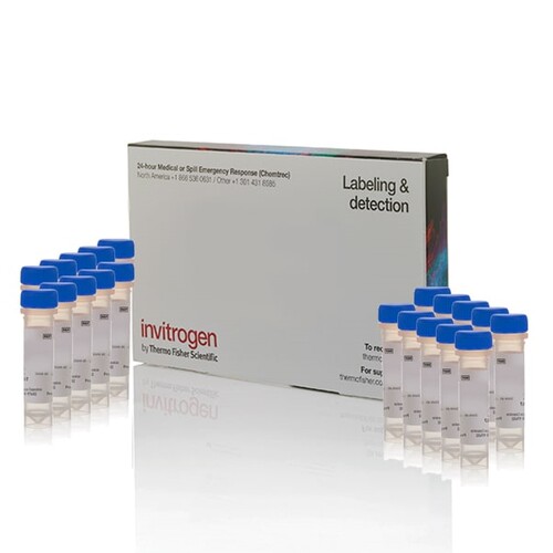 原装Invitrogen M7514 MitoTracker Green FM 绿色线粒体荧光探针