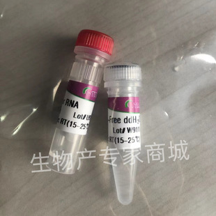 tiangen天根原装  Carrier RNA RT416-02 310ug