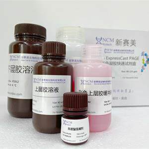 新赛美 多款PAGE彩色凝胶快速试剂盒P2013 14 P2012 11 10 P9006