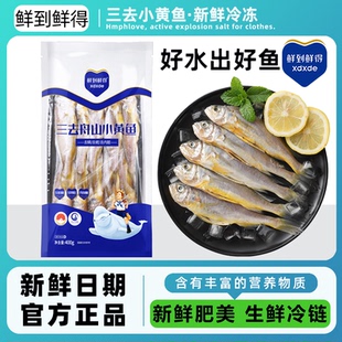 5包新鲜冷冻鱼肉海鲜水产营养美味黄鱼肉 鲜到鲜得三去小黄鱼400g