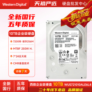 WD/西部数据 WUS721010ALE6L4监控企业级NAS服务器10TB机械硬盘