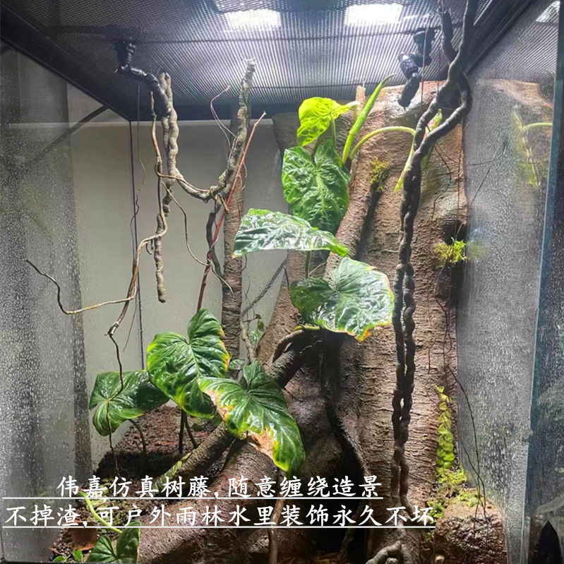 雨林缸爬宠假山造景装饰 仿真树藤蔓造型仿树藤穿线管PVC材质不掉