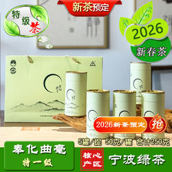 奉化曲毫茶特一级250克宁波茶叶奉化曲毫礼袋装2026春茶新绿茶
