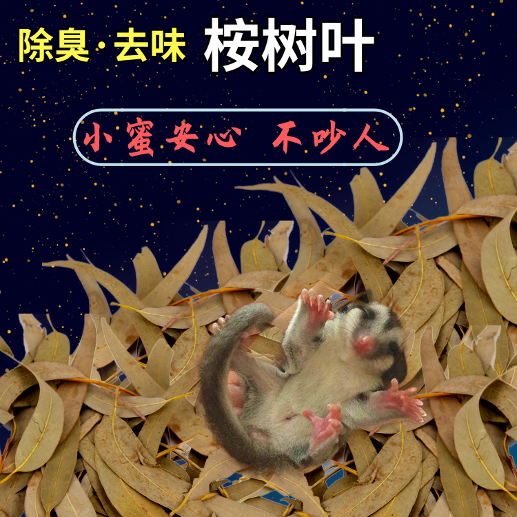 蜜袋鼯桉树叶 除臭去味垫材啃咬磨牙蓝桉叶天然驱虫宠物用品