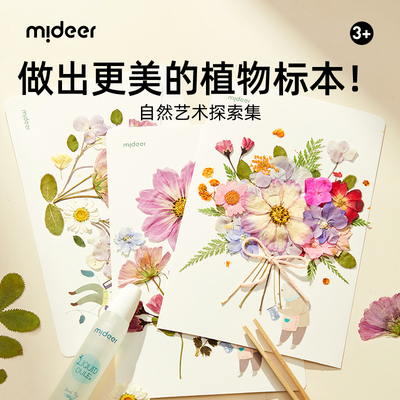 mideer弥鹿标本制作工具六一礼物