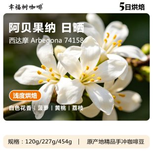埃塞尔比亚西达摩阿贝果纳日晒水果风味咖啡豆浅烘精品手冲咖啡豆