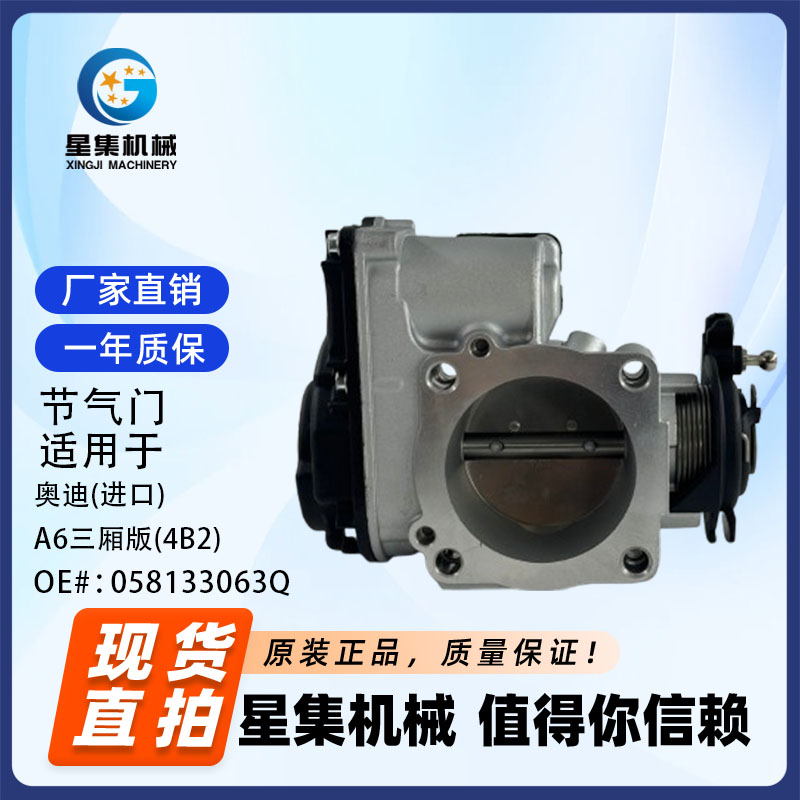 汽车节气门OE96253560
