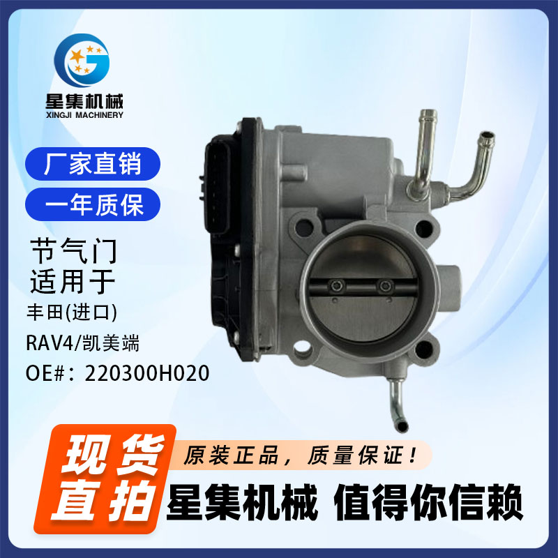 汽车节气门OE220300H020