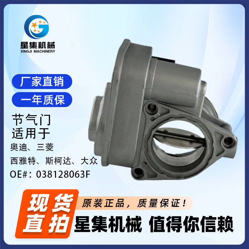 汽车节气门OE038128063F