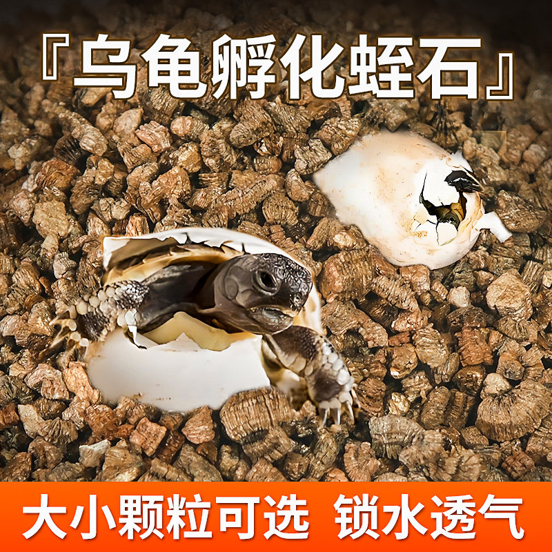 孵化蛭石爬宠饲养箱乌龟蛋蛇蛋图片