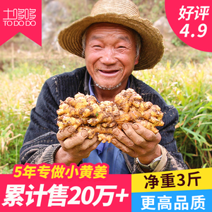精品姜土哆哆云南小黄姜新鲜生姜老姜高原山地姜月子姜母蔬菜批发