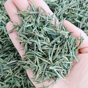 霍山黄芽2025年新茶正宗原产地安徽黄茶嫩芽内山黄牙500g浓香春茶