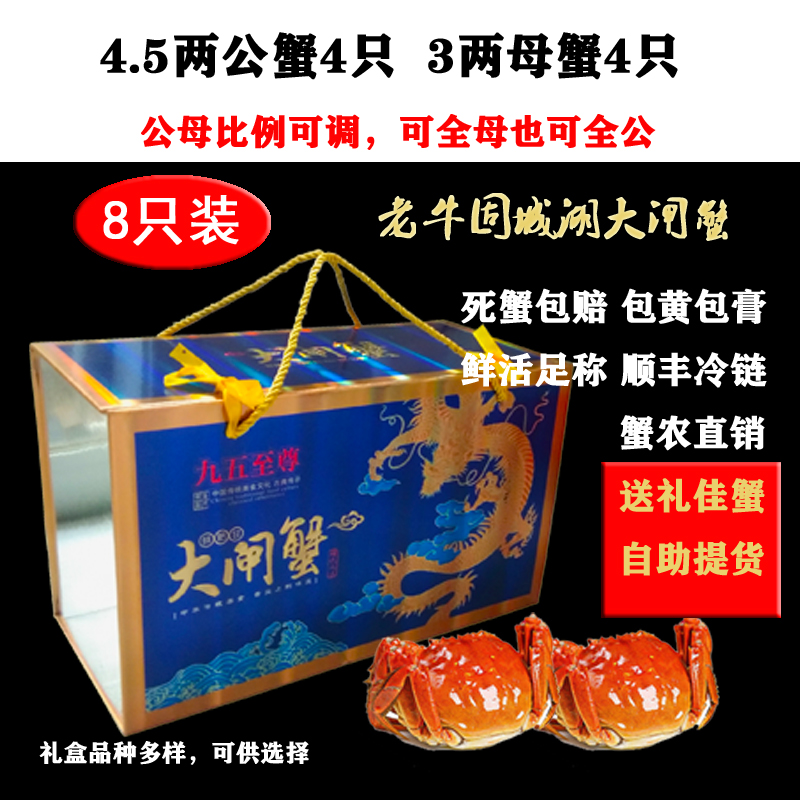 固城湖大闸蟹公蟹八只鲜活礼盒