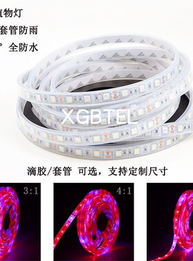 全光谱led植物生长补光灯带12V室内花卉多肉蔬菜育苗补光软灯条