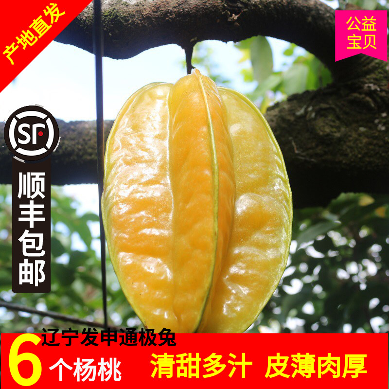 土楼杨桃6个装香甜多汁降火去燥