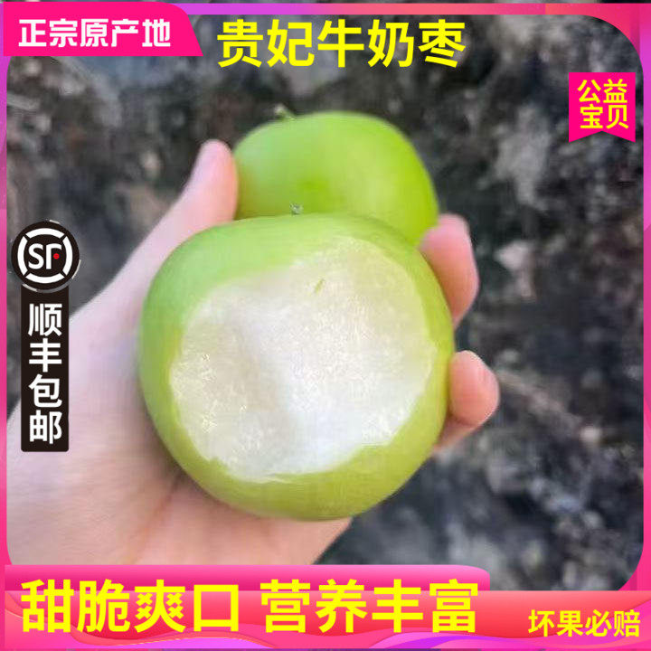 顺丰现摘福建牛奶贵妃枣新鲜大青枣苹果枣水果鲜东脆甜蜜枣子5斤,水产肉类/新鲜蔬果/熟食,枣,淘宝优惠券,粉丝福利购,淘宝优惠卷