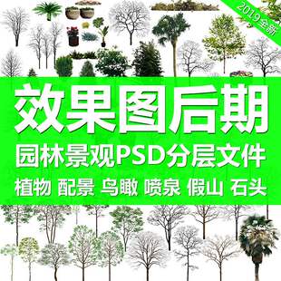 植物假山石头配景PS彩平图鸟瞰图效果图园林景观设计PSD后期素材