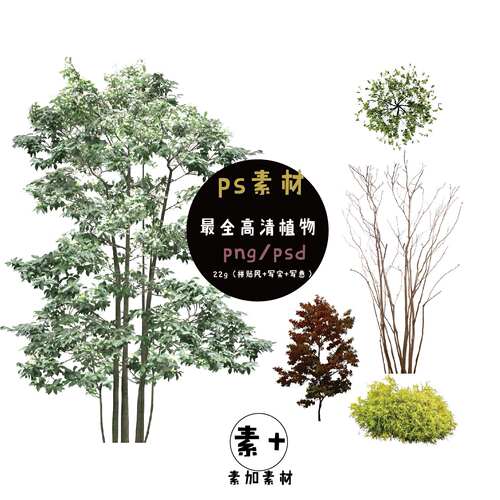 高清png植物园林景观效果图ps后期春夏秋冬枯树psd拼贴风免抠素材