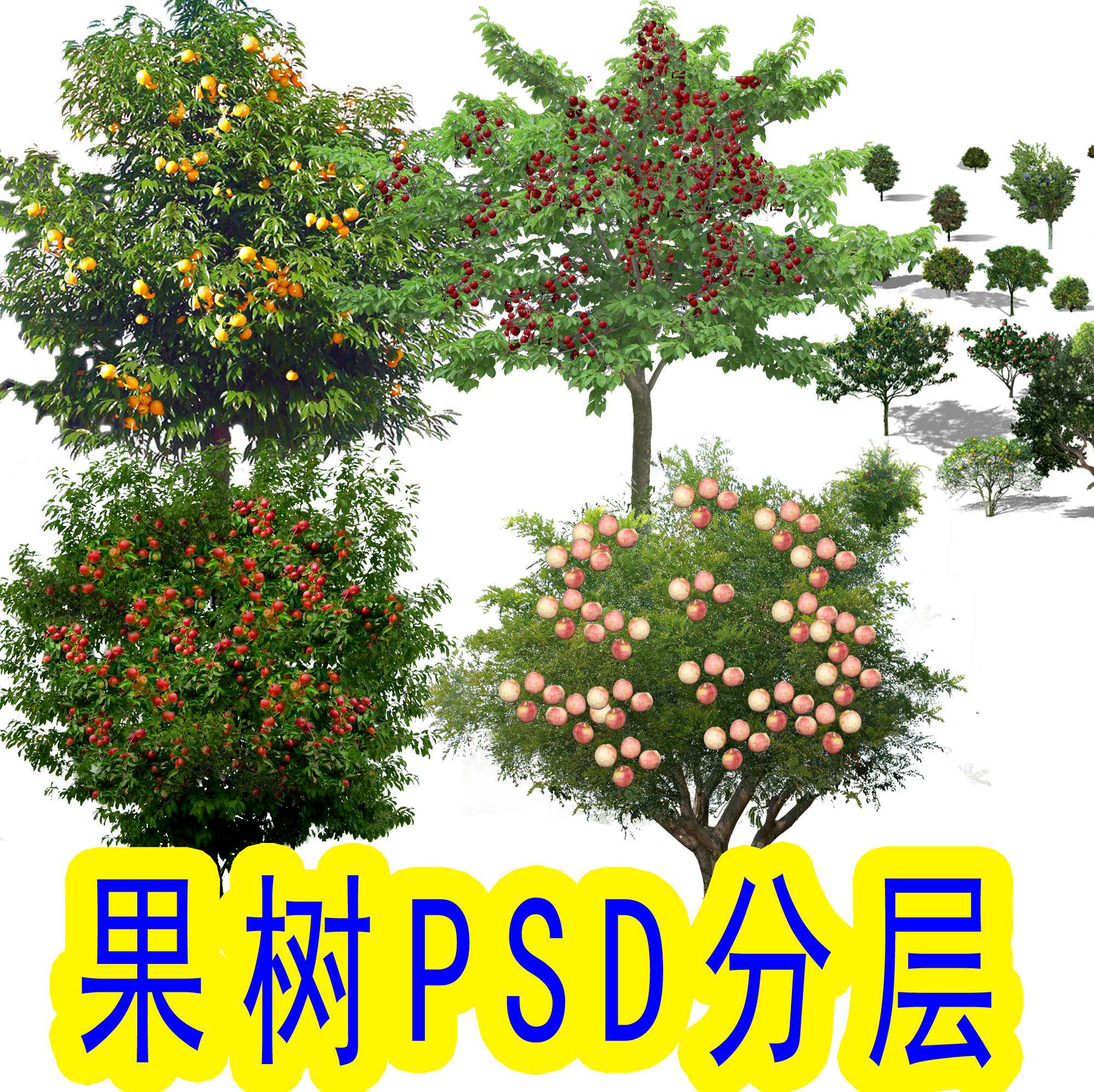 带名字植物园果树园林景观花草树木农村规划psd源文件分层素材