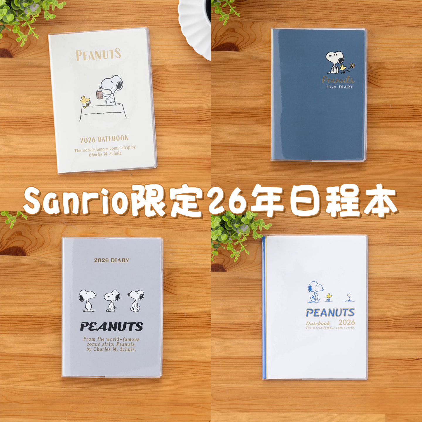 日本三丽鸥Snoopy史努比 2026年B6月間手帳記事本